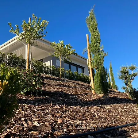 بيت للعطل Neu - Premium-ferienhaus Mosel-sonne ترابن ترارباخ